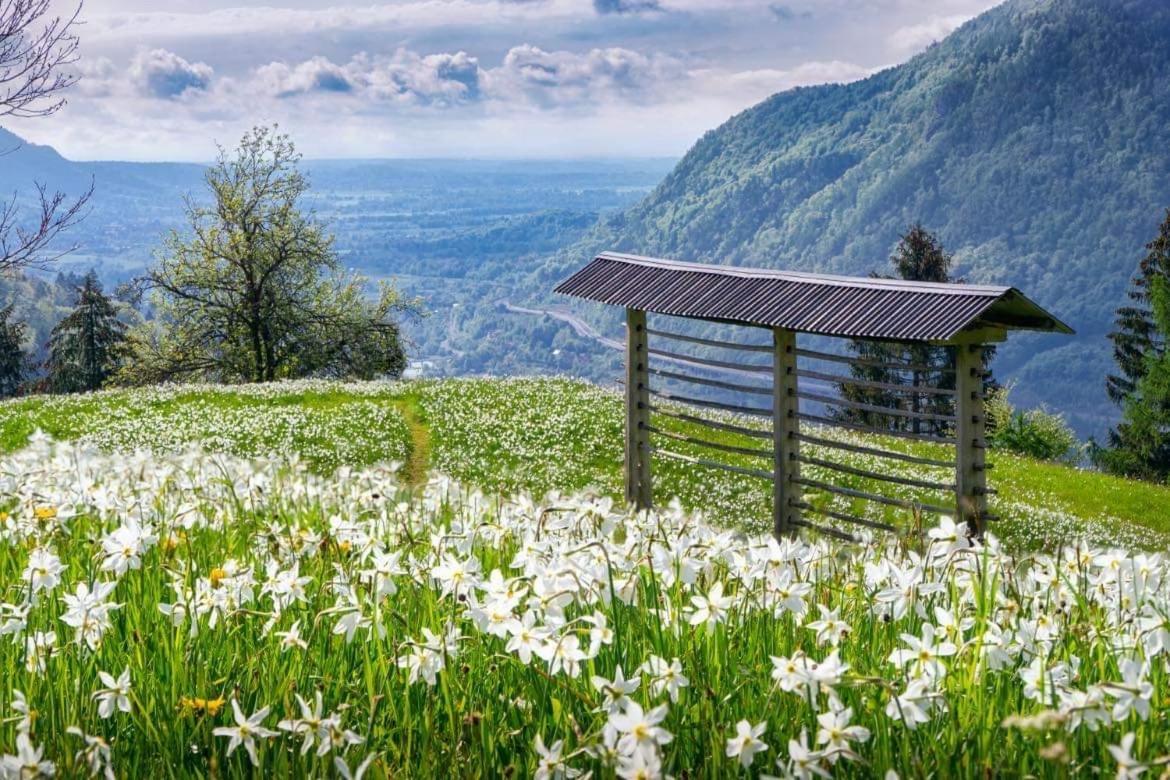 Alpine Cottage Golica Jesenice Exterior photo